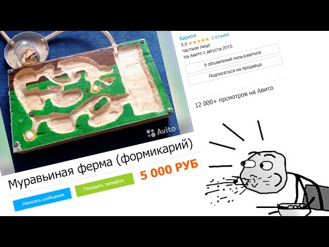 Видео: Смешные и упоротые объявления по продаже ферм на Авито (#1)