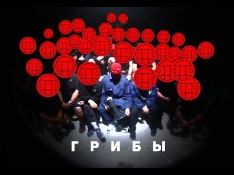Видео: Грибы - Копы