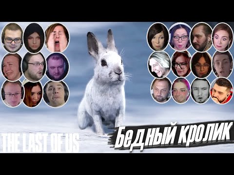 Видео: Реакции Летсплейщиков на Смерть Кролика в The Last of Us