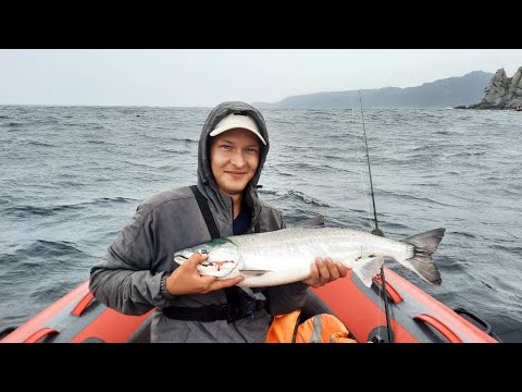 Видео: Морская Рыбалка! Ловля кеты. Рыбалка в Приморье!