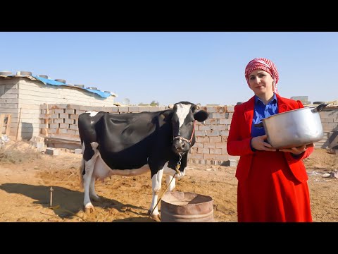 Видео: Приготовить обед на деревенской ферме - Доить корову в сарае