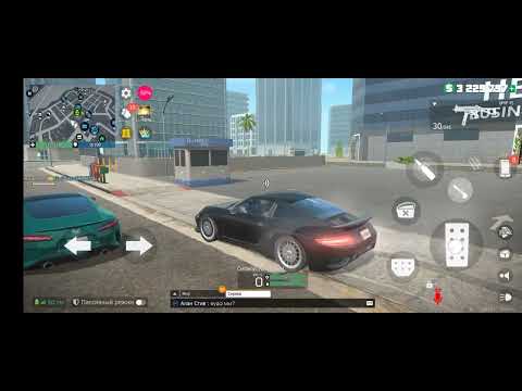 Видео: Играю с Зайчиком#grandcriminalonline #alanstiv #gco #игрыпохожиенаgta 