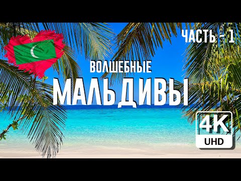 Видео: Из АЛМАТЫ на МАЛЬДИВЫ | Февраль 2022 | ЧАСТЬ 1 [4K UHD]