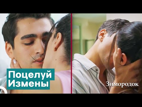 Видео: Зимородок Ферит: Тайный Побег Ферита И Пелин | Зимородок