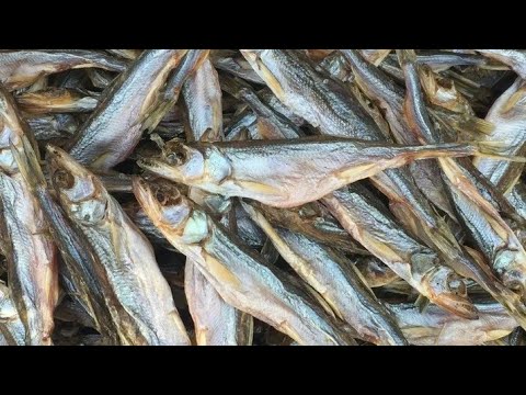 Видео: ВЯЛЕНАЯ КОРЮШКА  в домашних условиях.ПРОСТОЙ СПОСОБ. "Dried smelt at home".
