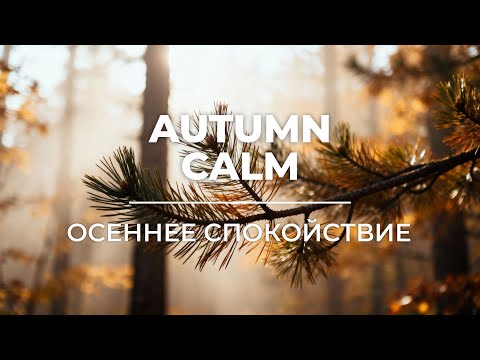 Видео: Relaxing Guitar for Stress Relief, Work, Study and Sleep | Расслабляющая Гитара для Снятия Стресса