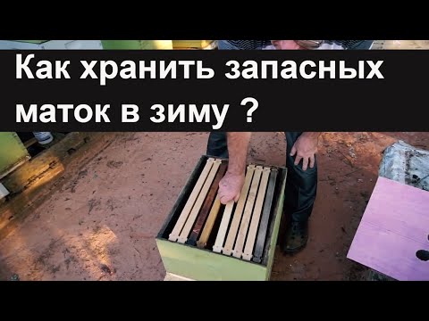 Видео: Пасека #56 Как хранить запасных маток в зиму ? Гарантия около 100%.Пасека.Пчеловодство