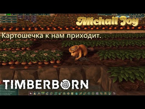 Видео: Новиночка. Они вам не курвы ! #03.  [ Timberborn ]