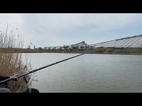 Видео: Штекерное удилище Flagman Armadale Match Classic Long Pole 13м