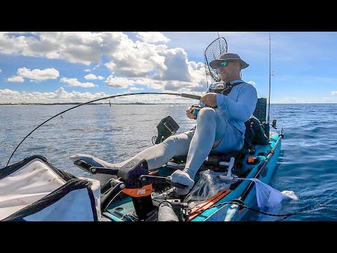 Видео: На этом рифе так много ОГРОМНЫХ РЫБ — рыбалка на каяках в Дестине