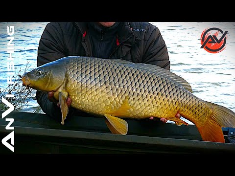 Видео: ЗАКРИТТЯ СЕЗОНУ 2024 ПО КОРОПУ.