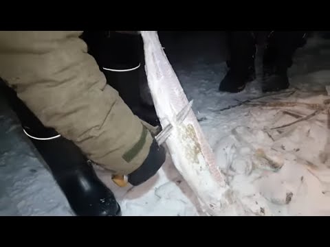 Видео: Туристы из Казахстана в Якутии!