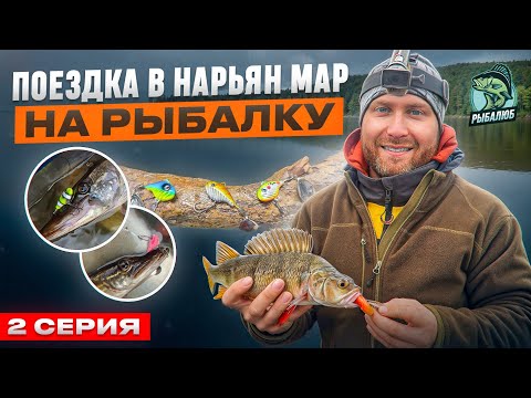 Видео: #2 Нарьян-Мар. ГДЕ ОЛЕНИ И РЫБА - ГЛАВНОЕ СОКРОВИЩЕ. РЫБАЛКА 2024 г.