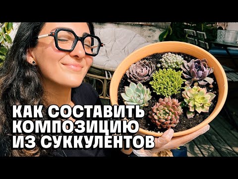 Видео: Как составить композицию из суккулентов! Мои находки и трюки.
