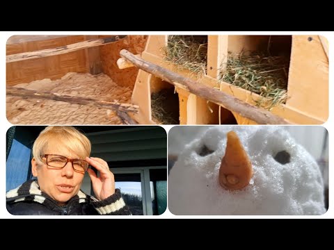 Видео: Запоздалое видео. НОВЫЙ КУРЯТНИК.СТИЧ.Печенье зелёное.