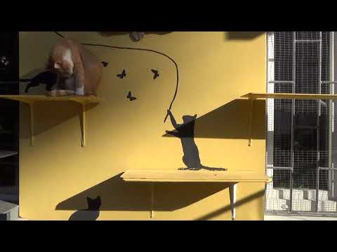 Видео: 063102 Розв'язування рівнянь 7 9