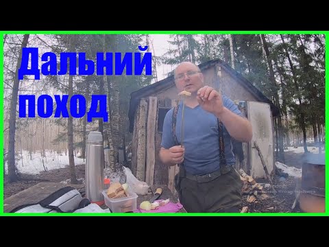 Видео: Дальний поход в лес .Пытаюсь добраться до древнего урочища.