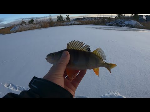 Видео: Первый лёд. Очень интересное увидел в подводную камеру.