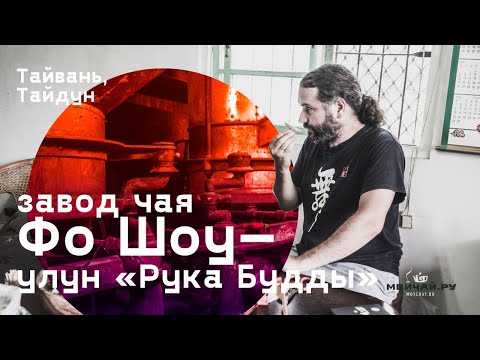 Видео: Тайвань. Тайдун, завод чая Фо Шоу – улун Рука Будды