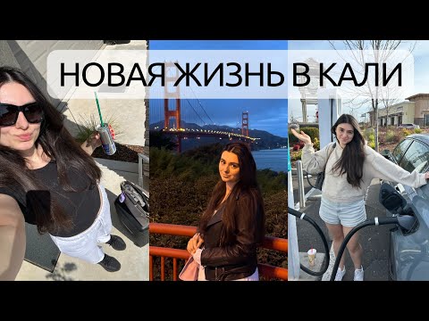 Видео: Я переехала в Калифорнию. Новости из моей жизни год спустя.