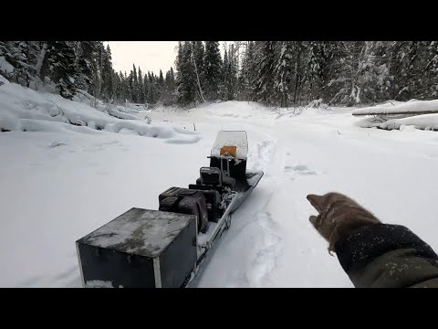 Видео: С Григоричем на таёжной  речке \ Рыбалка на ХАРИУСА \ Часть 2 \ И всё таки мы его нашли