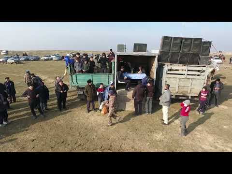 Видео: 15 01 2025 Сарыағаш Жаңаталап ауылы Қанат мырзаның елден бата алу көкпары