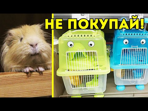 Видео: УЖАСЫ ЗООМАГАЗИНА. Не покупай это питомцам! Морские свинки ПРОТИВ. SvinkiShow