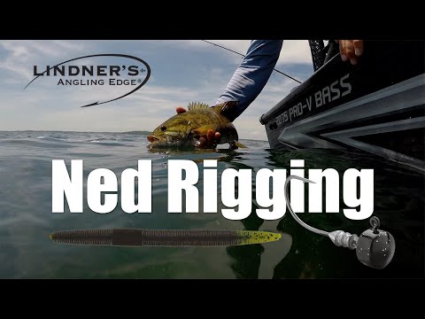 Видео: Нед Риггинг