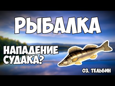 Видео: Рыбалка Киев | Спиннинговая рыбалка | Озеро Тельбин | Спиннинг | Судак | Не рыбаки | ne rybaki