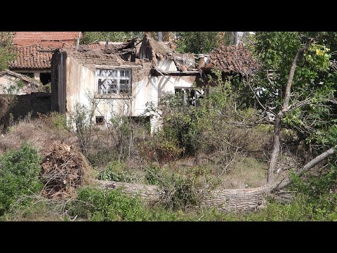Видео: Буря изкорени дървета в Орлов дол