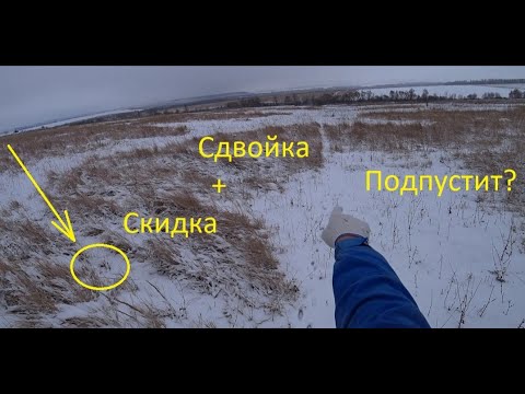 Видео: Как правильно тропить зайца русака зимой начинающему охотнику? Много скидок!