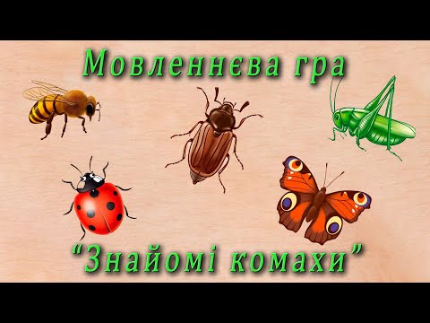 Видео: Мовленнєва гра - "Знайомі комахи"