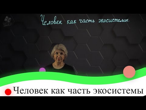 Видео: Человек как часть экосистемы. 7 класс.