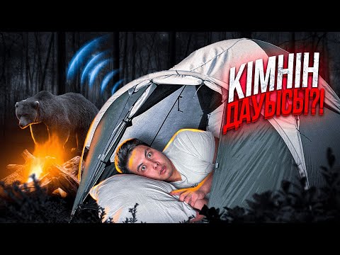 Видео: 24 сағат УЖАС ОРМАНДА! // АЮ мен ТҮН !