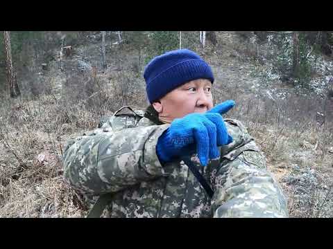 Видео: Каа-Хем рябчики.