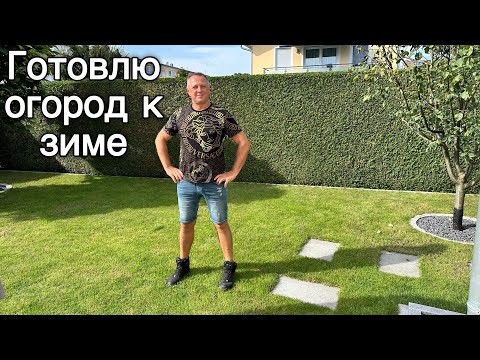 Видео: Стрижка туи,живая изгородь.Планы на октябрь,путешествие на остров….