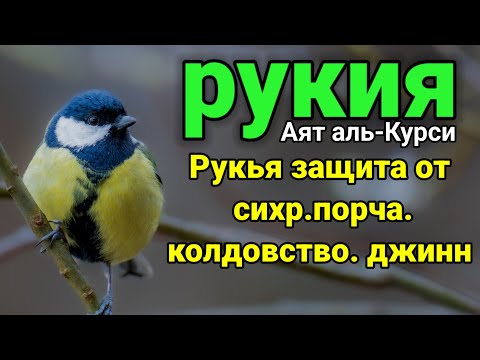 Видео: РУКИЯ💦АЯТ АЛЬ-КУРСИ,защита от сихр.порча.колдовство.СГЛАЗА И ПОРЧИ_AYATUL KURSI DAILY RECITATION