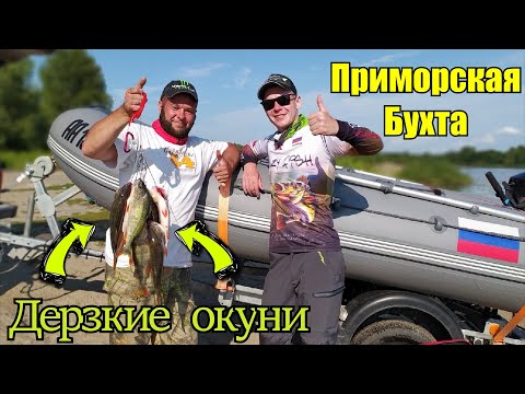 Видео: Окунёвое Эльдорадо! Рыбалка в Калининграде.