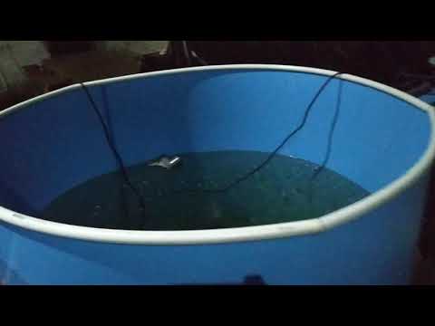 Видео: Тестирование новой почти одноуровневой системы УЗВ