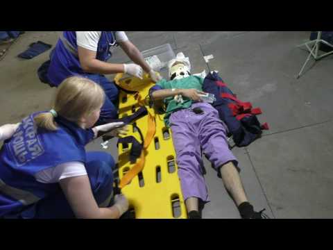 Видео: Ситуационнаят задача Гусь Хрустальный 2017