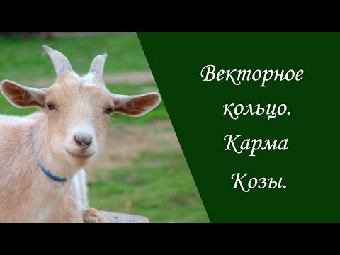 Видео: Векторное кольцо. Карма Козы.