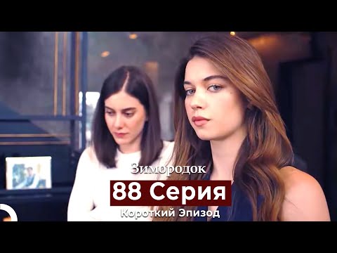 Видео: Зимородок 88 Cерия (Короткий Эпизод) (Русский дубляж)