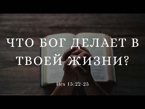 Видео: "Что Бог делает в твоей жизни?" | Владимир Мицук