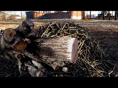 Видео: Простая заготовка любых дров. Идеи по веткорубам и щепочницам.