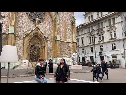 Видео: Семантические поля. Как ребенок с моторной алалией вспоминает, учит слова.