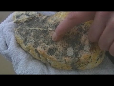 Видео: Вонючий камень оказался целым состоянием