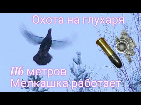 Видео: ЕДЕМ НА КРУГ ИСКАТЬ ЛОСЯ / ОХОТА НА ГЛУХАРЯ С МЕЛКАШКОЙ / ИНТЕРЕСНЫЙ СЛУЧАЙ В ТАЙГЕ НА ОХОТЕ.