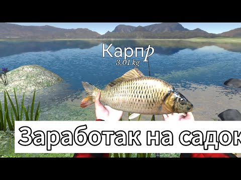 Видео: Заработак на садок в игре ULTIMATE FISHING SIMULATOR, ОГРОМНЫЕ КАРПЫ!