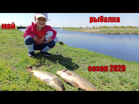 Видео: Рыбалка на сазана в мае/отдых/сезон жидкой воды открыл/озеро Сартлан/красный яр