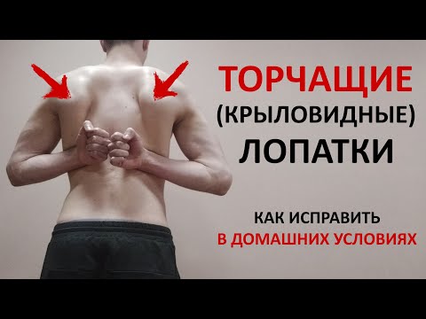 Видео: Лопатки торчат по ЭТОЙ причине! ЕДИНСТВЕННОЕ упражнение, чтобы убрать крыловидные лопатки